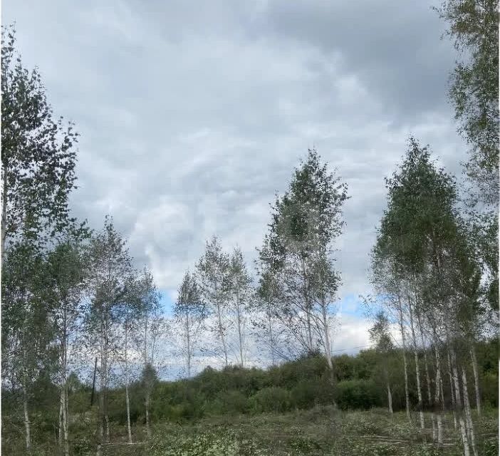 земля г Тюмень снт Светлое городской округ Тюмень, 1-я Степная улица фото 3