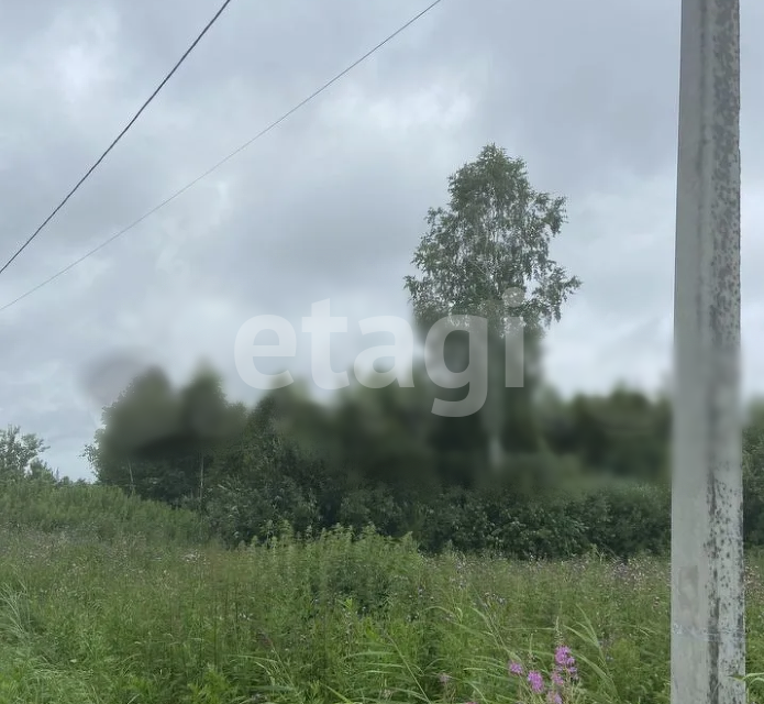 земля г Тюмень снт Светлое городской округ Тюмень, 1-я Степная улица фото 4