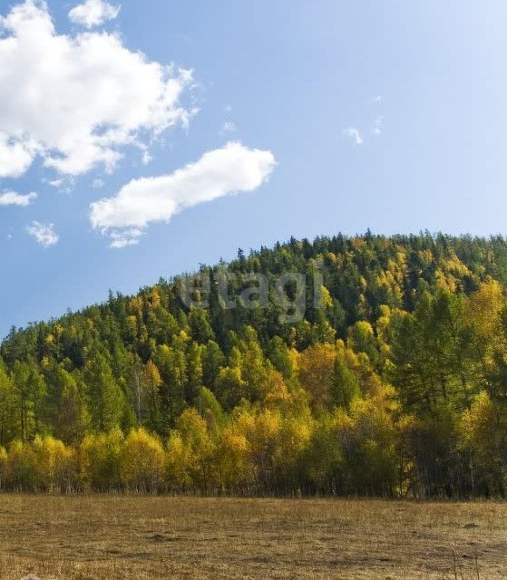 земля р-н Онгудайский село Ело фото 8