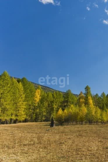 земля р-н Онгудайский село Ело фото 7