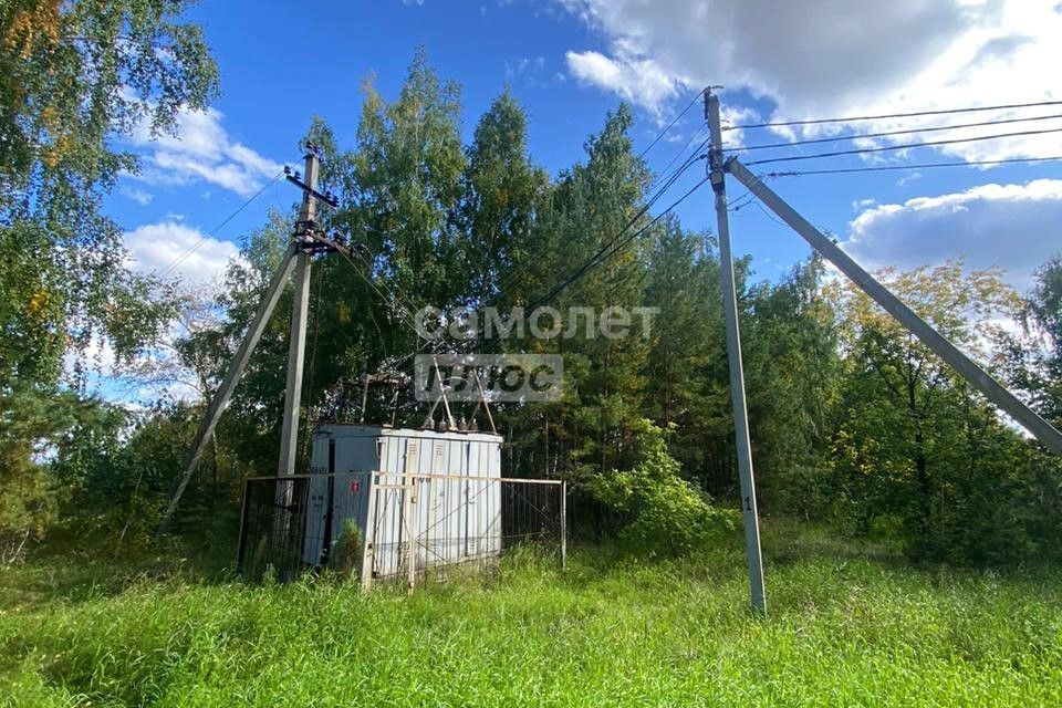 земля р-н Омский с Усть-Заостровка СНТ Сад фото 9