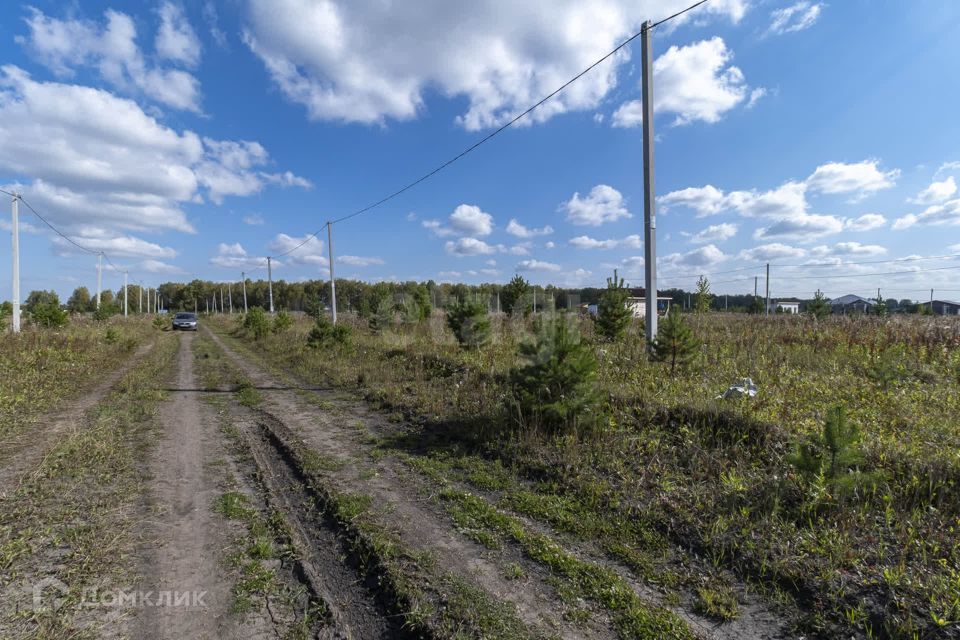 земля р-н Тюменский ДПК Новокаменский, Коттеджный посёлок Новокаменский фото 8