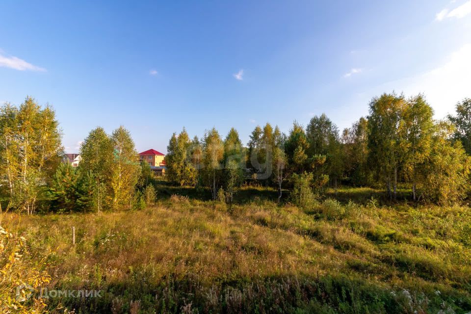 дом р-н Нижнетавдинский с Нижняя Тавда ул Кирова фото 8