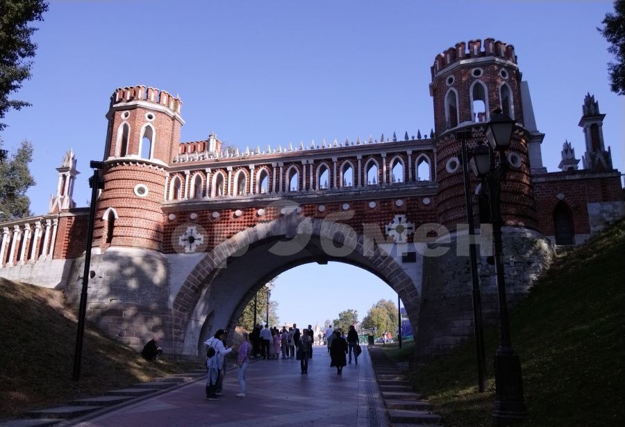 квартира г Москва метро Орехово ул Домодедовская 20к/3 муниципальный округ Орехово-Борисово Северное фото 25