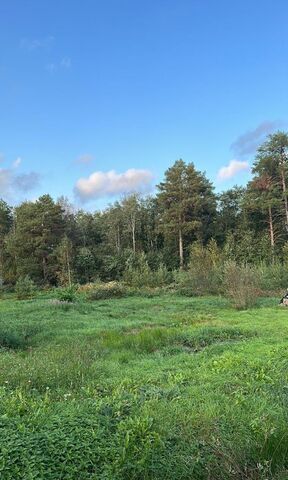 п Саперное Трасса Сортавала, 9791 км, Громовское сельское поселение, СНТ Громовское фото