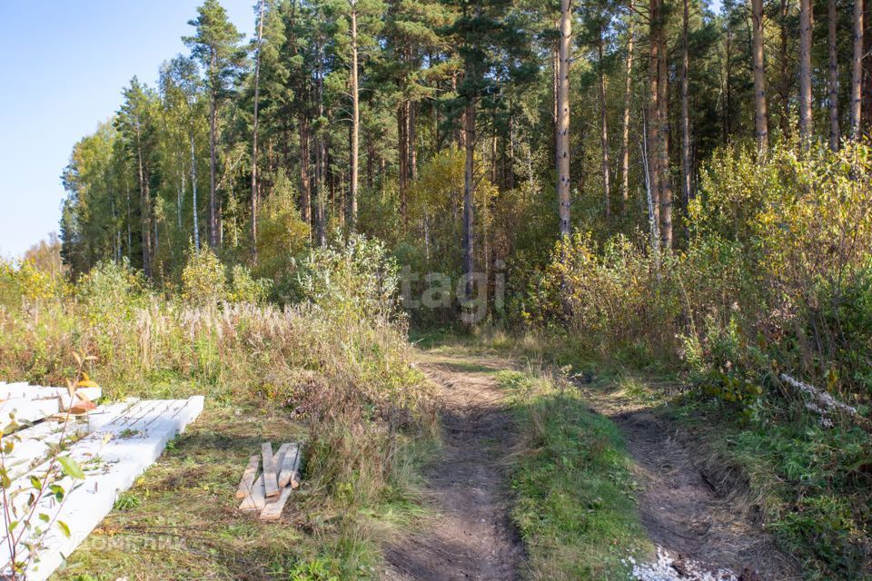 земля г Тобольск Центральная улица, 24, городской округ Тобольск фото 5