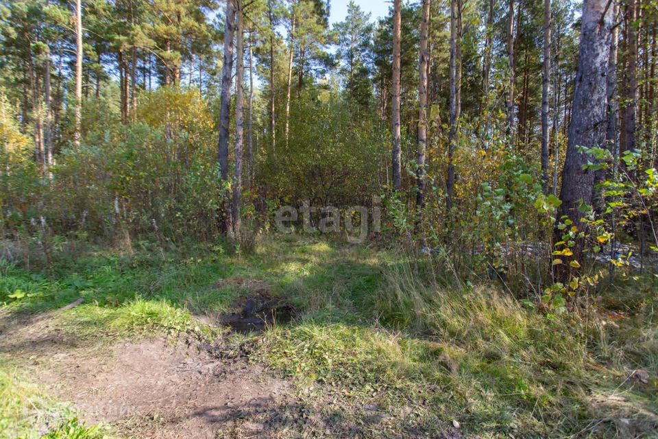 земля г Тобольск Центральная улица, 24, городской округ Тобольск фото 8