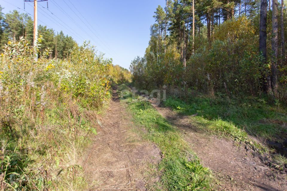 земля г Тобольск Центральная улица, 24, городской округ Тобольск фото 6