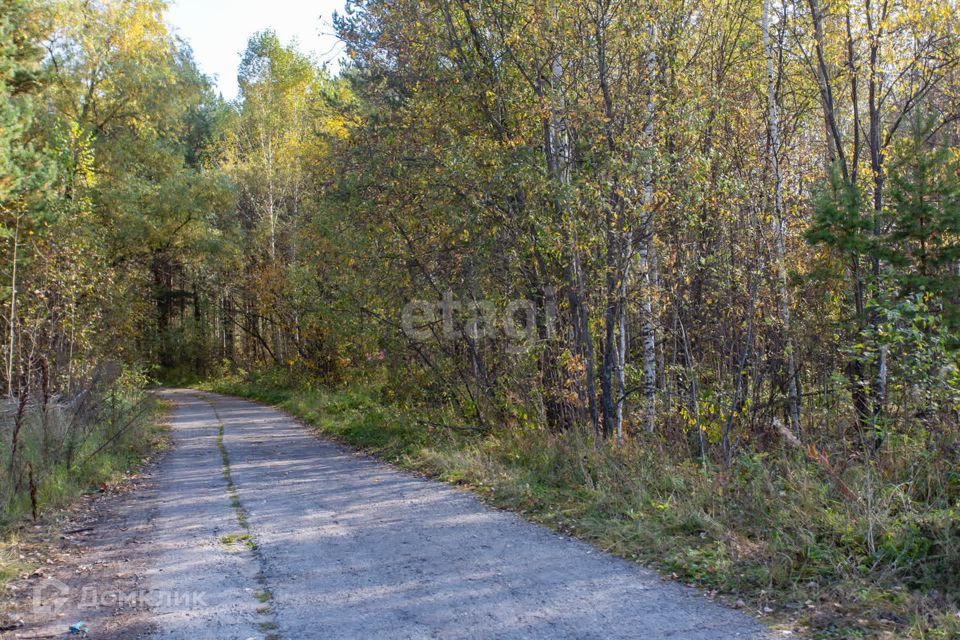 земля г Тобольск Центральная улица, 24, городской округ Тобольск фото 9