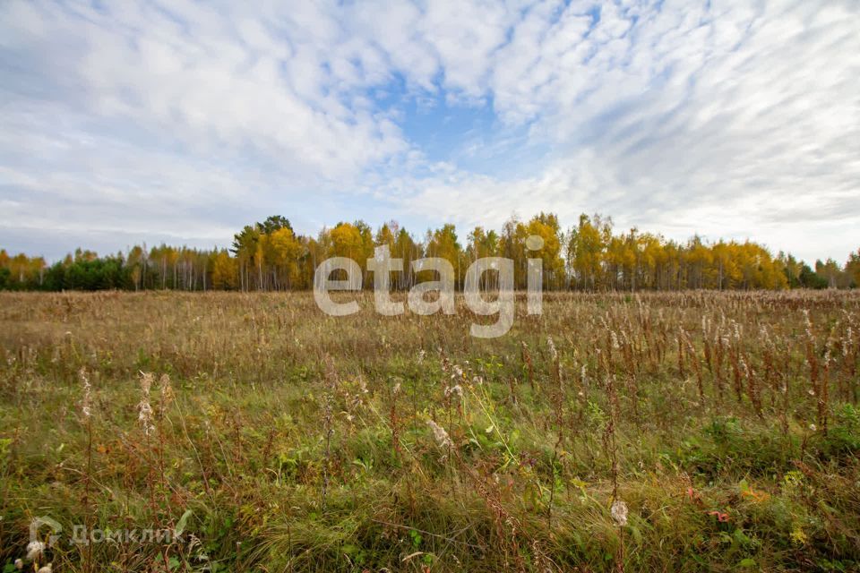 земля р-н Емельяновский фото 6