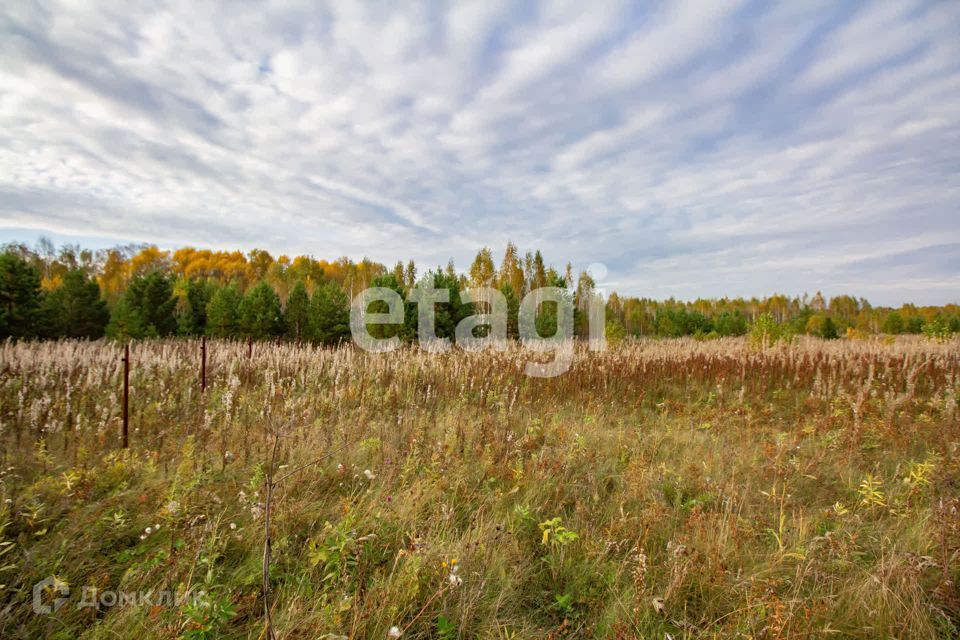 земля р-н Емельяновский фото 8