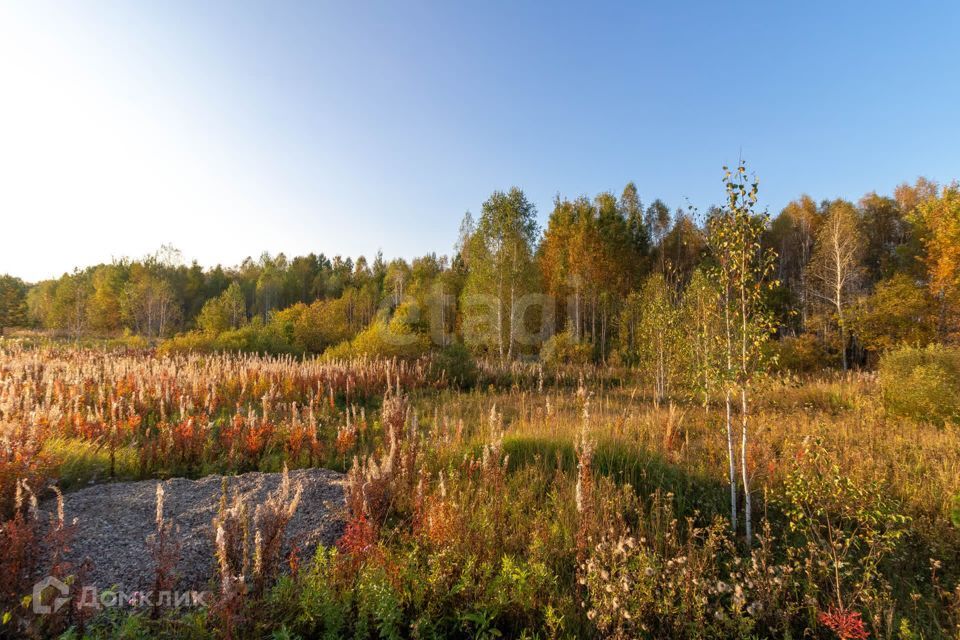 земля р-н Нижнетавдинский снт Геолог-2 Озеро Сундукуль фото 6