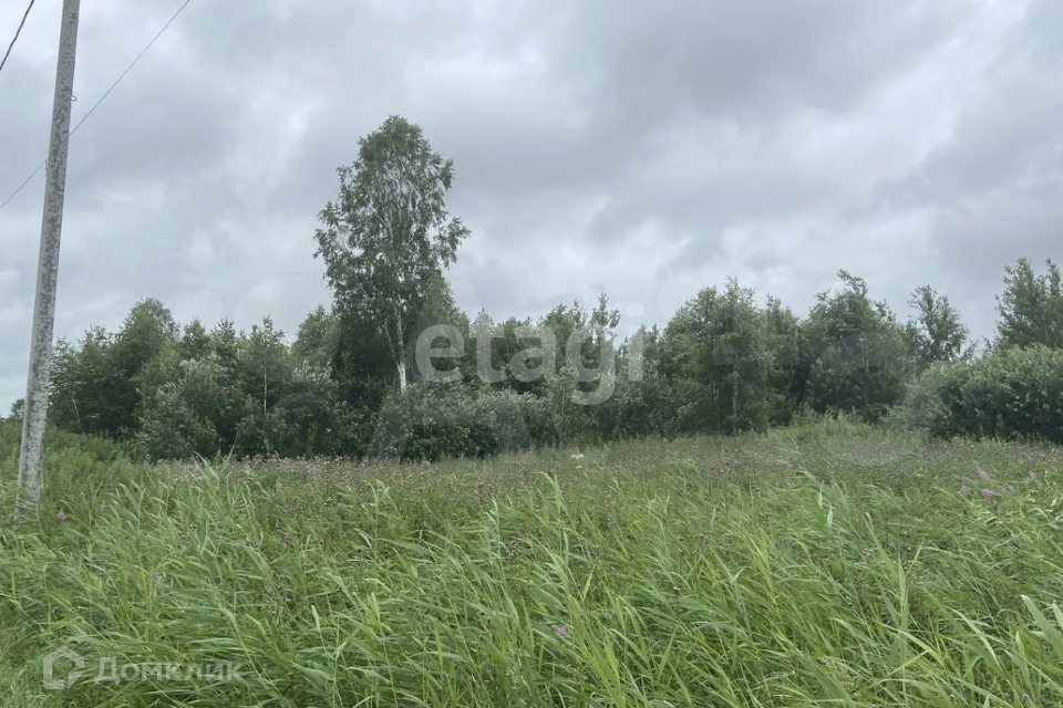 земля г Тюмень снт Светлое городской округ Тюмень, 1-я Степная улица фото 6