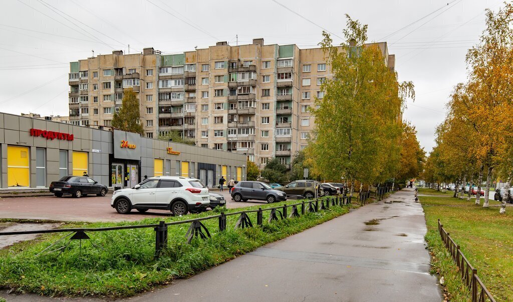 квартира г Санкт-Петербург метро Ладожская пр-кт Ударников 42 округ Пороховые фото 17