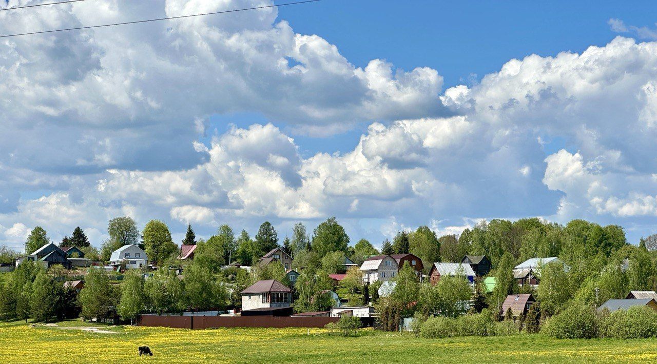 земля городской округ Дмитровский д Бабаиха Лобня, 51 фото 4