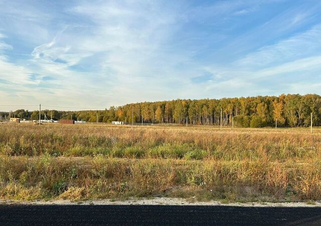 направление Павелецкое (юго-восток) ш Новокаширское 9763 км, пос. Ильинская слобода, 285, Домодедово фото