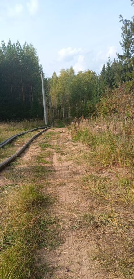 земля р-н Слободской д Вотское ул Виноградная Бобинское сельское поселение, Киров фото 8