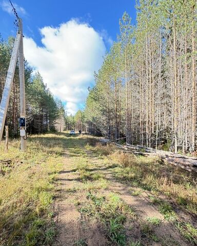 ул Виноградная Бобинское сельское поселение, Киров фото