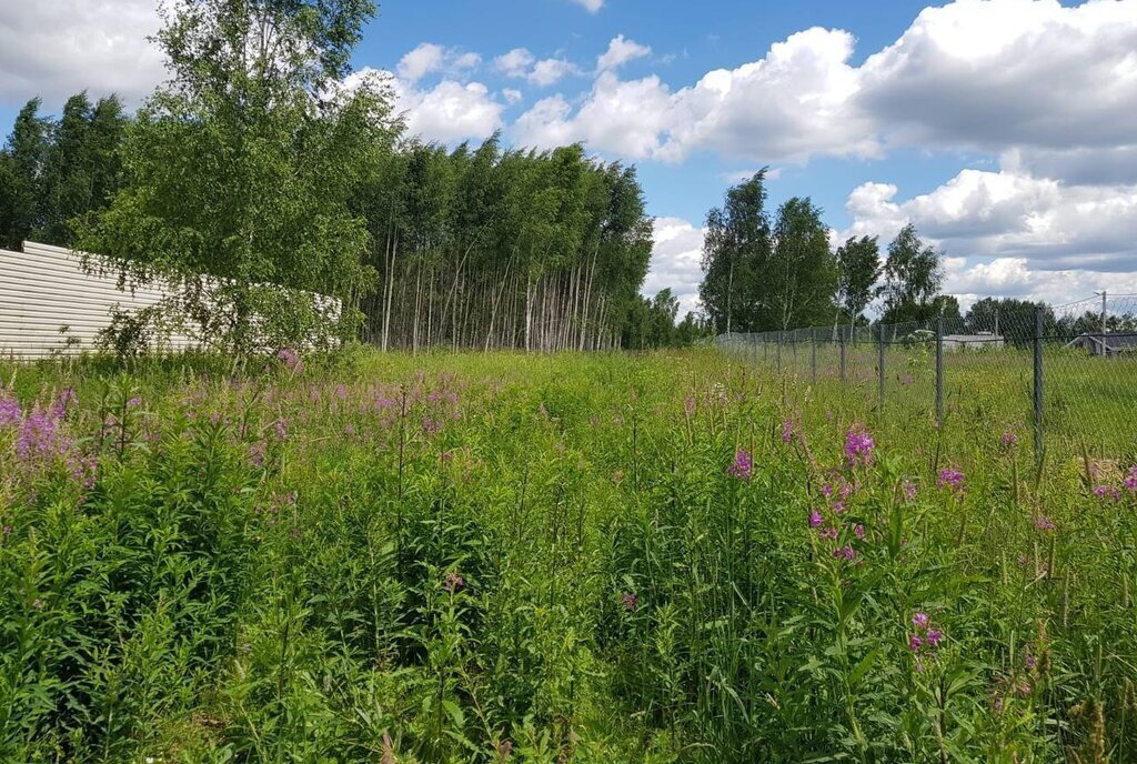 земля городской округ Дмитровский п Редькино фото 2