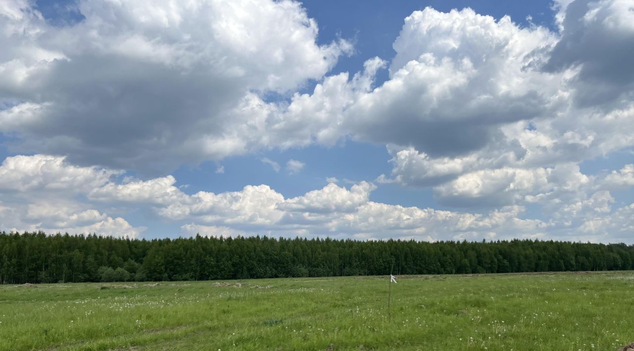 земля городской округ Раменский Оттепель кп, 19 фото 2