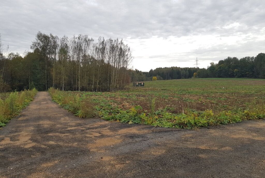 земля городской округ Клин д Селифоново фото 27