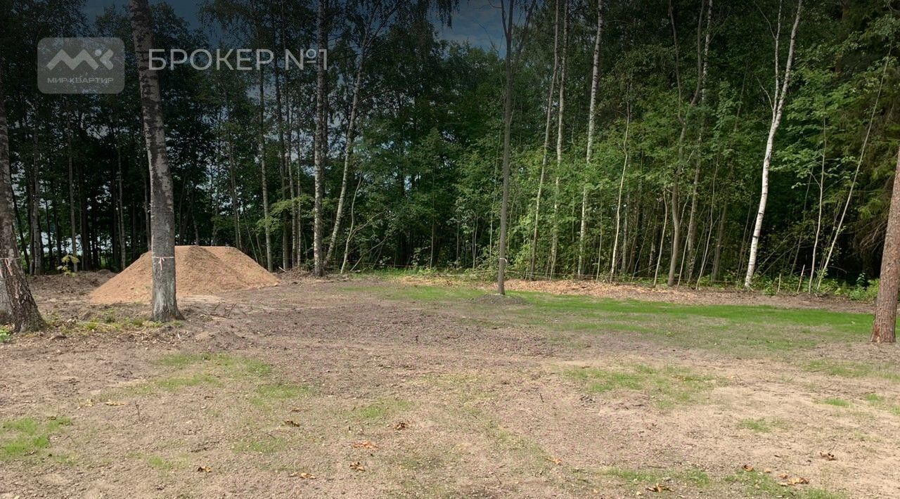 земля р-н Выборгский п Овсяное Рощинское городское поселение, Комендантский проспект фото 5