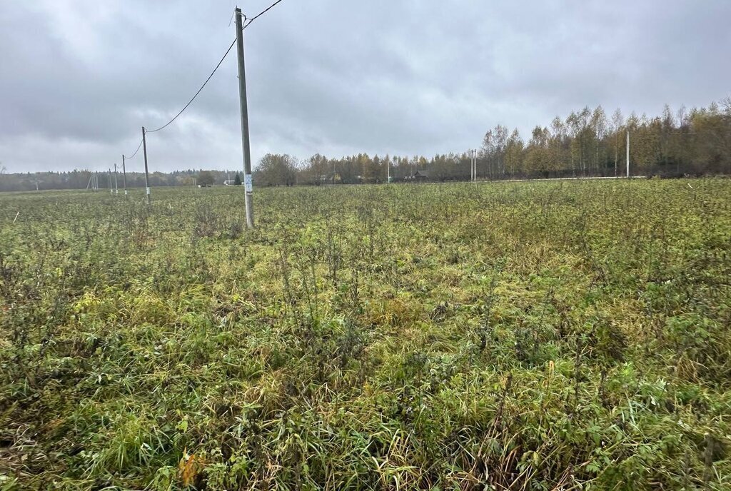 земля городской округ Клин д Васильевское-Соймоново фото 18