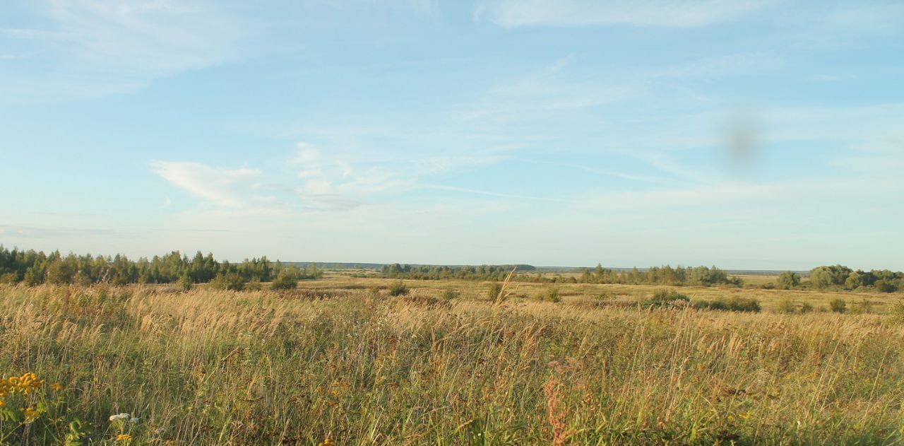 земля р-н Гагаринский д Трубино фото 1