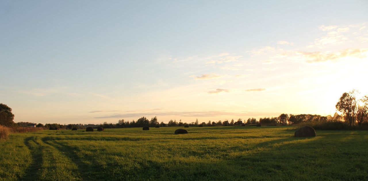 земля р-н Гагаринский д Трубино фото 6