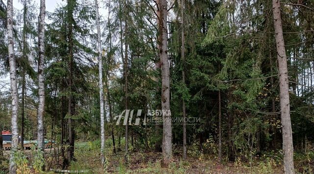 направление Ленинградское (северо-запад) ш Пятницкое Дачной застройки Бризе кв-л, Химки городской округ фото