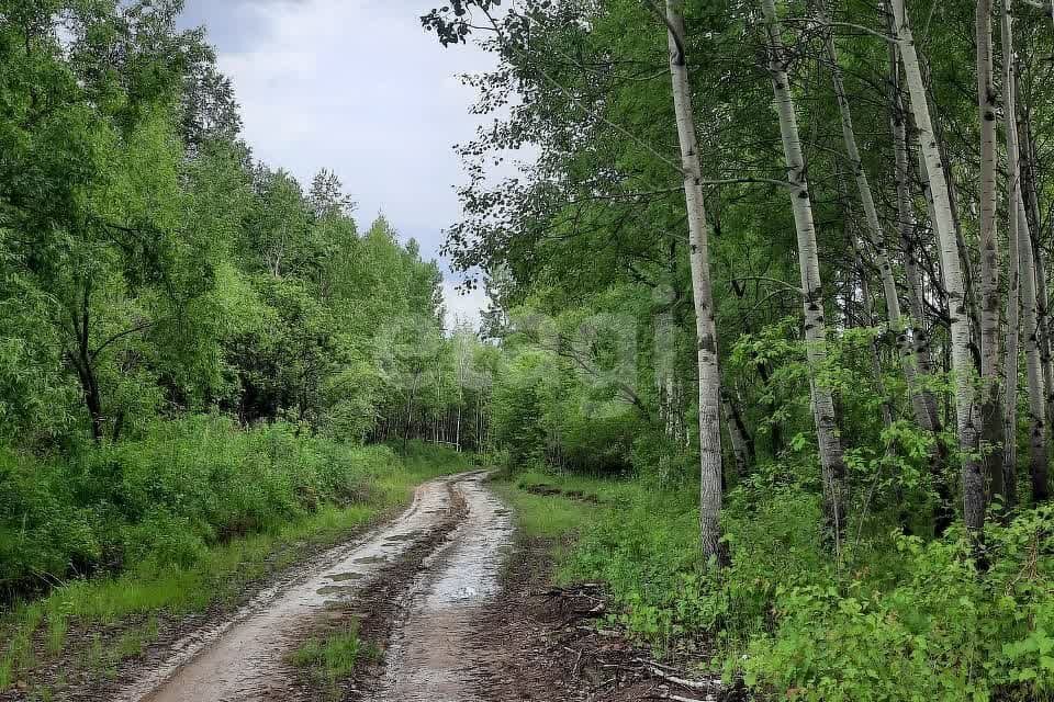 земля г Хабаровск р-н Краснофлотский Антенный переулок, городской округ Хабаровск фото 7