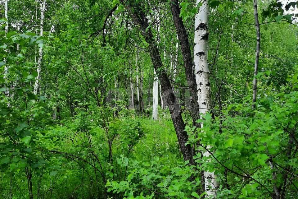 земля г Хабаровск р-н Краснофлотский Антенный переулок, городской округ Хабаровск фото 9