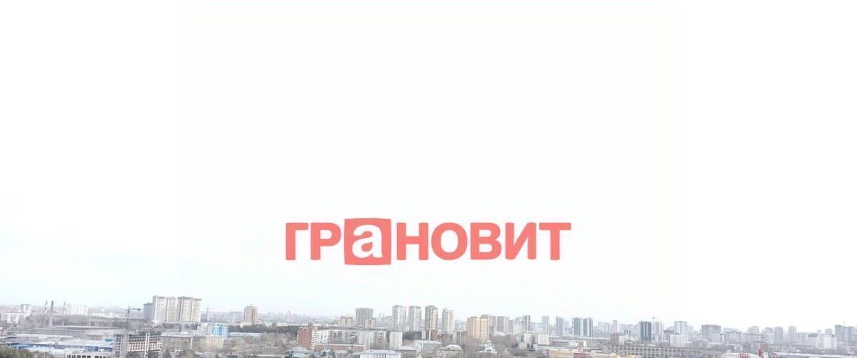 квартира г Новосибирск Заельцовская ул Аэропорт 55/1 фото 17