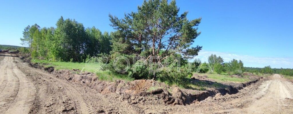 земля р-н Нижнетавдинский с Тюнево Тюмень фото 7