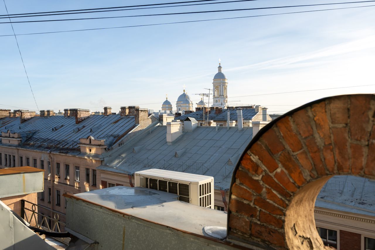 квартира г Санкт-Петербург метро Чкаловская Большой пр-т Петроградской стороны, 7/4 фото 7