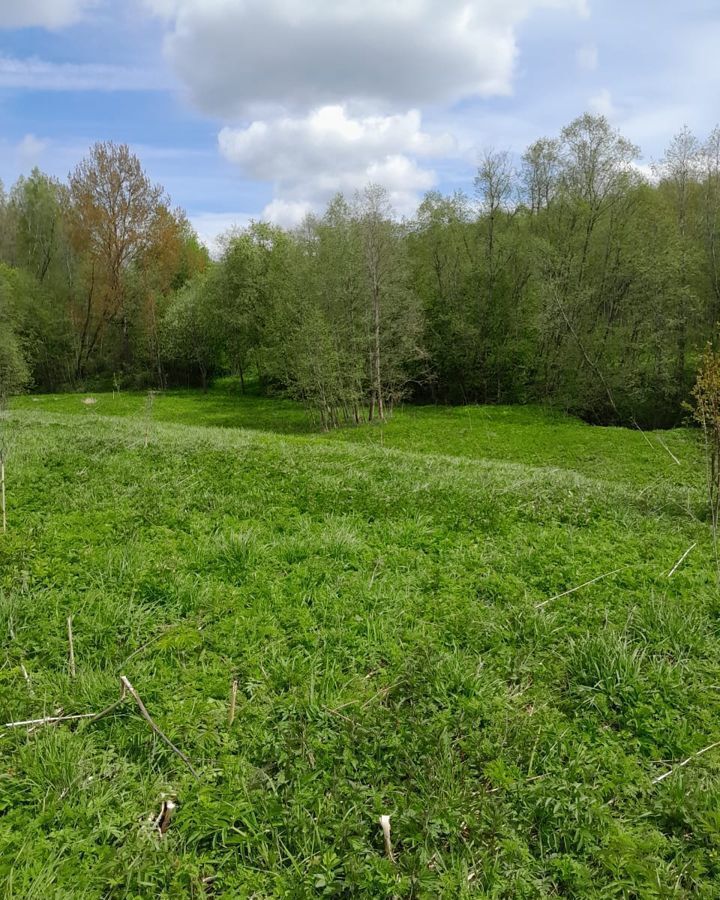 земля городской округ Клин п Нудоль 9786 км, Новопетровское, Новорижское шоссе фото 2