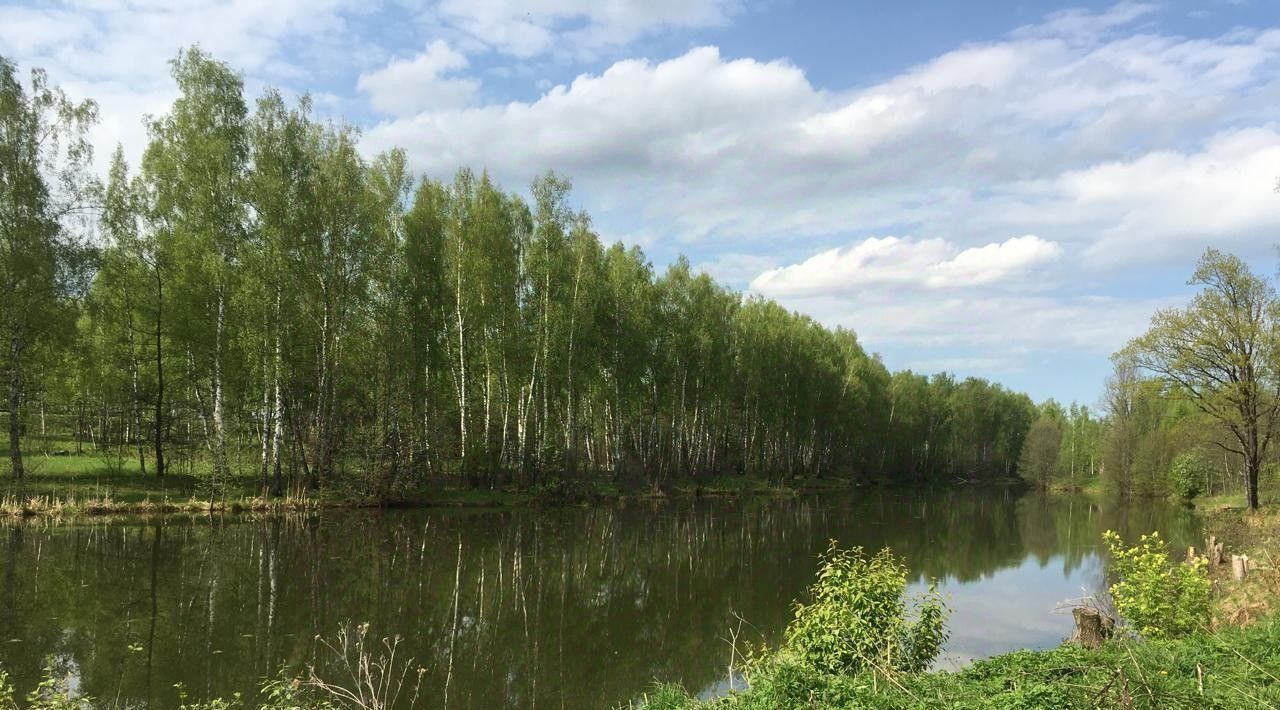 земля р-н Бабынинский д Альшаны Село Бабынино с/пос фото 6