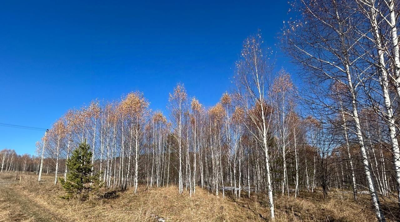 земля г Кыштым снт Теренкуль Карабашский городской округ фото 12