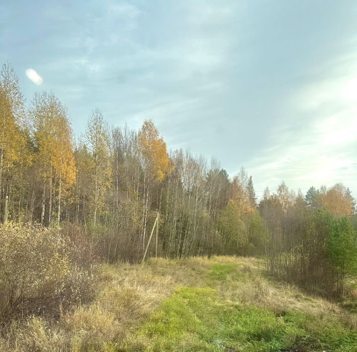 дом р-н Прионежский с Заозерье ул Загородная 18 фото 30