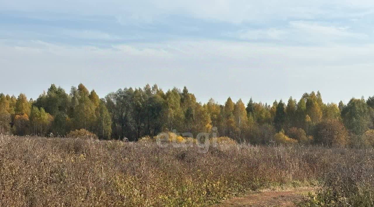 земля г Йошкар-Ола д Акшубино фото 1