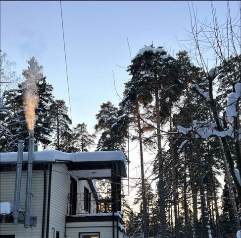 пр-кт Старых Большевиков фото