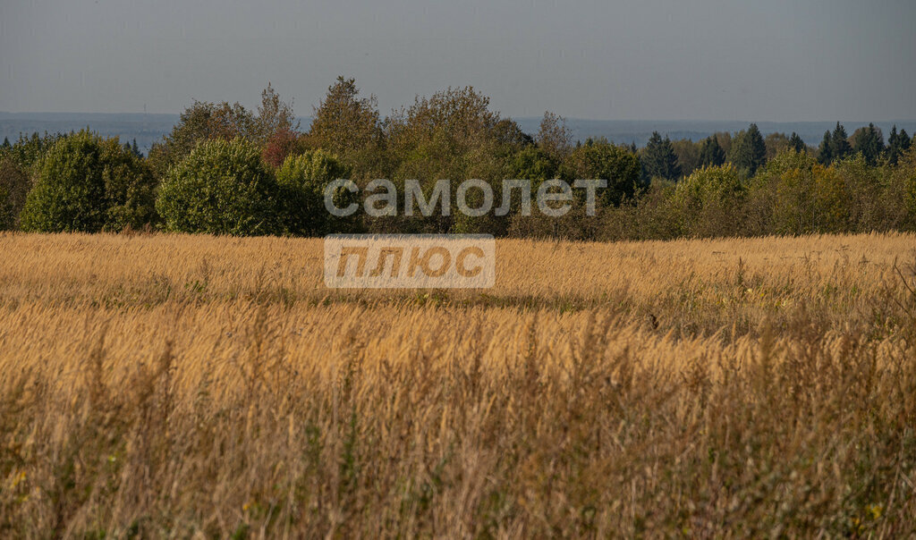 земля городской округ Волоколамский д Рождествено фото 13