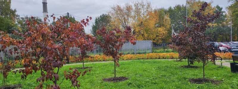 квартира г Санкт-Петербург ул Полевая Сабировская 45к/1 Старая деревня фото 12