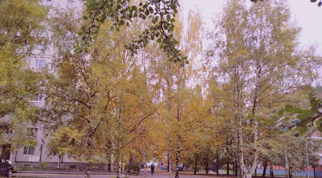 квартира г Санкт-Петербург метро Комендантский Проспект пр-кт Богатырский 53к/3 фото 29