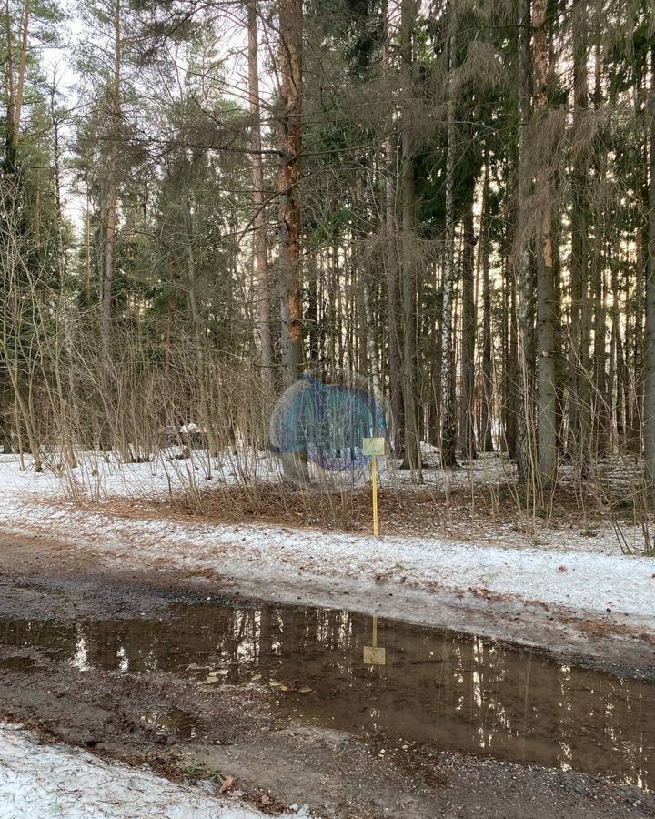 земля городской округ Пушкинский п Черкизово ул Набережная 34 9735 км, дп. Черкизово, Алтуфьевское шоссе фото 9