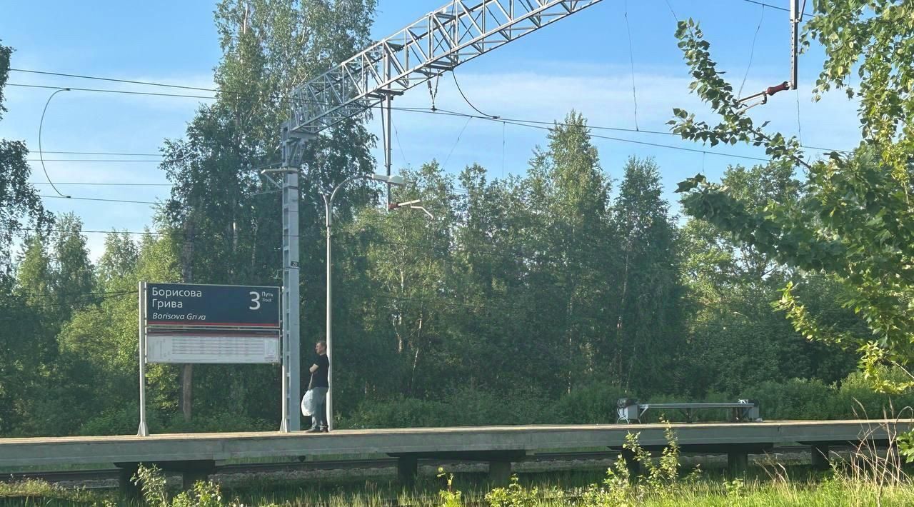 земля р-н Всеволожский д Борисова Грива ул Центральная 34 Рахьинское городское поселение фото 5