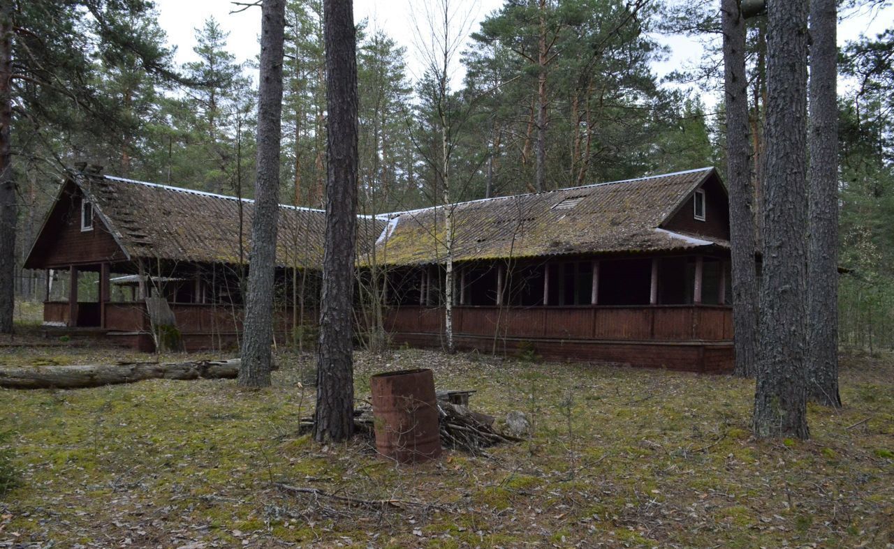 дом р-н Лужский д Турово п Лужское Киевское шоссе, 115 км, Зелёное, озеро, Луга фото 3