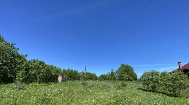 р-н Александровский д Прокино Краснопламенское муниципальное образование фото