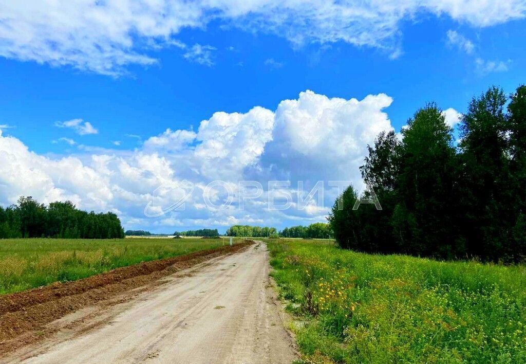 земля р-н Тюменский коттеджный пос. Новокаменский, Тюмень фото 4