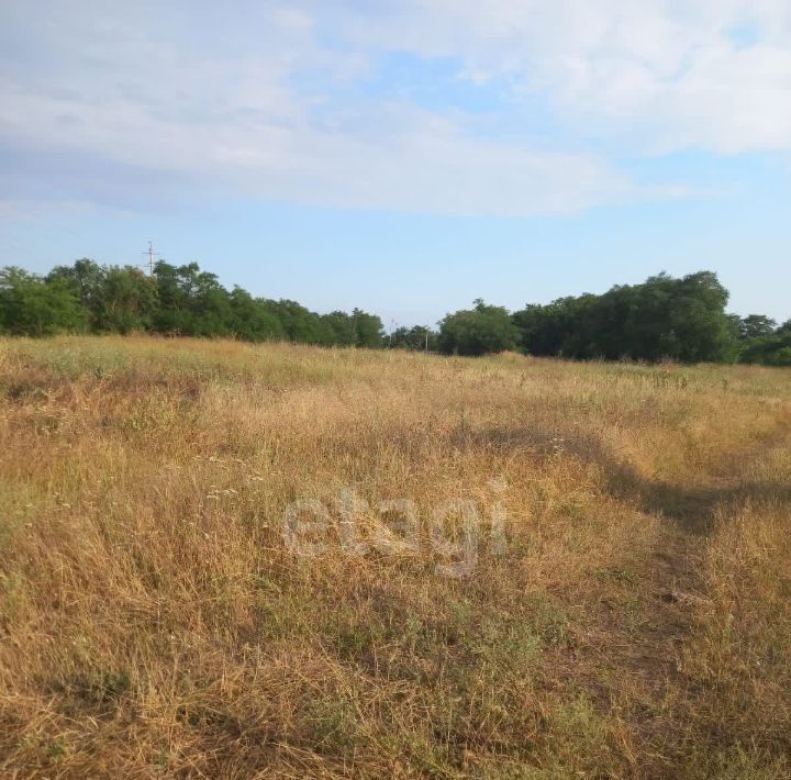 земля р-н Черноморский с Межводное ул Дружбы фото 4